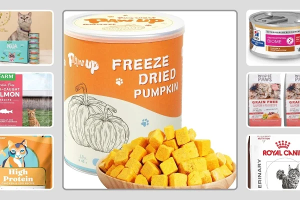 11 Best Cat Foods with More Fiber for Gut Health
