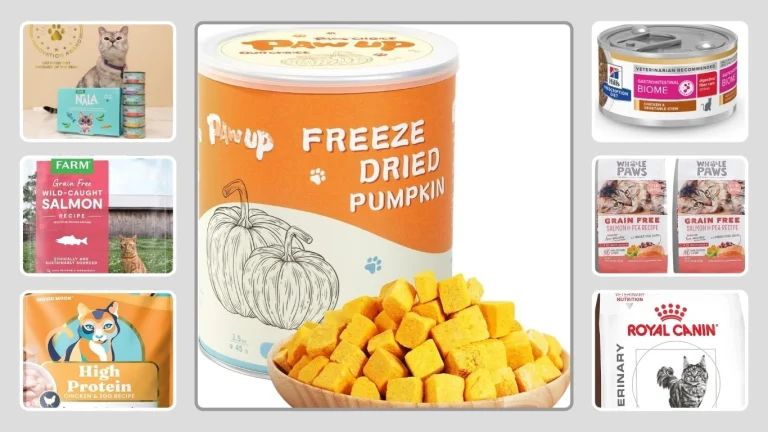 11 Best Cat Foods with More Fiber for Gut Health
