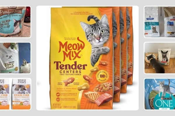 13 Best Dry Cat Food for Indoor Cats: Review in 2026