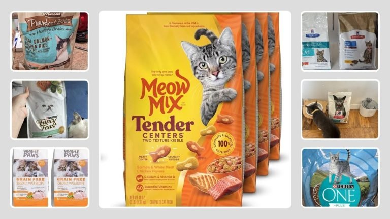 13 Best Dry Cat Food for Indoor Cats: Review in 2026