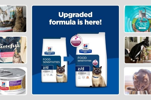 9 Best Cat Foods for Sensitive Stomach (Vet-Recommended Picks)