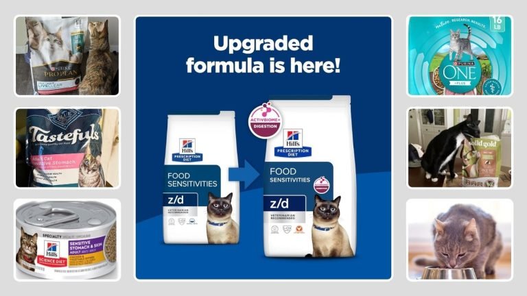 9 Best Cat Foods for Sensitive Stomach (Vet-Recommended Picks)