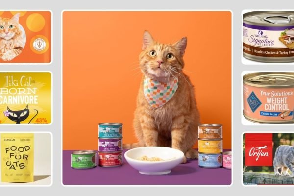 15 Best Cat Food Brands for Healthy and Happy Cats