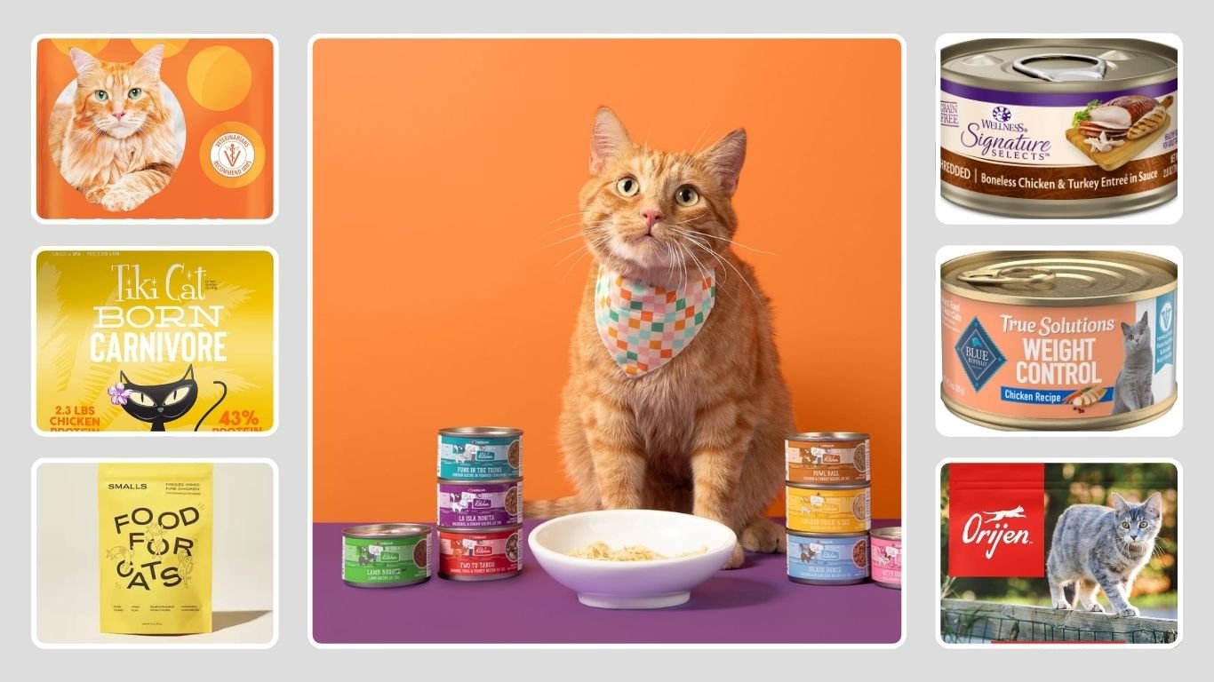 15 Best Cat Food Brands for Healthy and Happy Cats