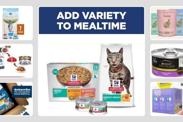 8 Best Wet Cat Food for Weight Loss (Vet-Recommended Picks)