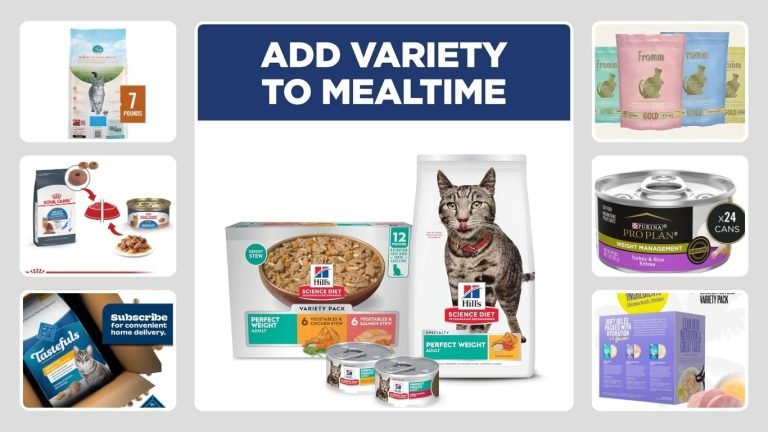 8 Best Wet Cat Food for Weight Loss (Vet-Recommended Picks)
