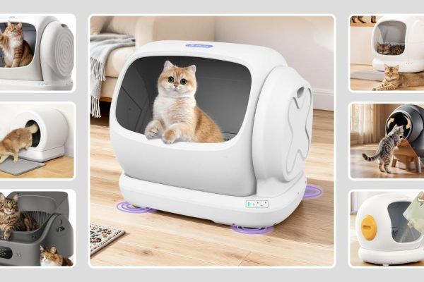 12 Best Automatic Cat Litter Boxes for Multiple Cats