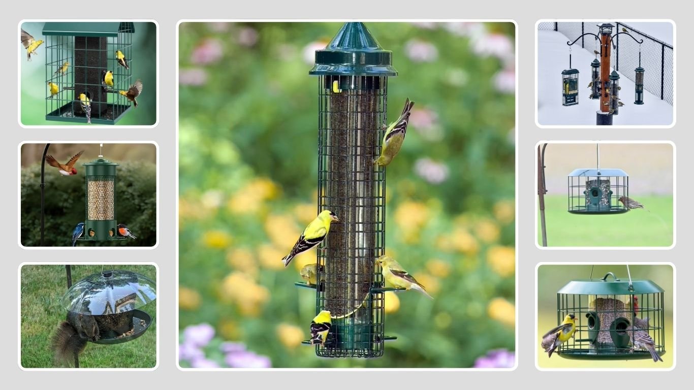 10 Best Bird Feeders for Finches (Top Picks for Your Backyard)