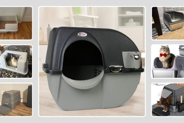 10 Best Self-Cleaning Litter Boxes Under $100