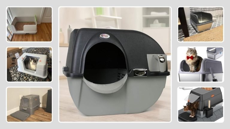 10 Best Self-Cleaning Litter Boxes Under $100