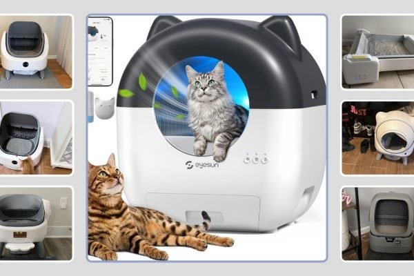 11 Best Self-Cleaning Litter Boxes Under $200