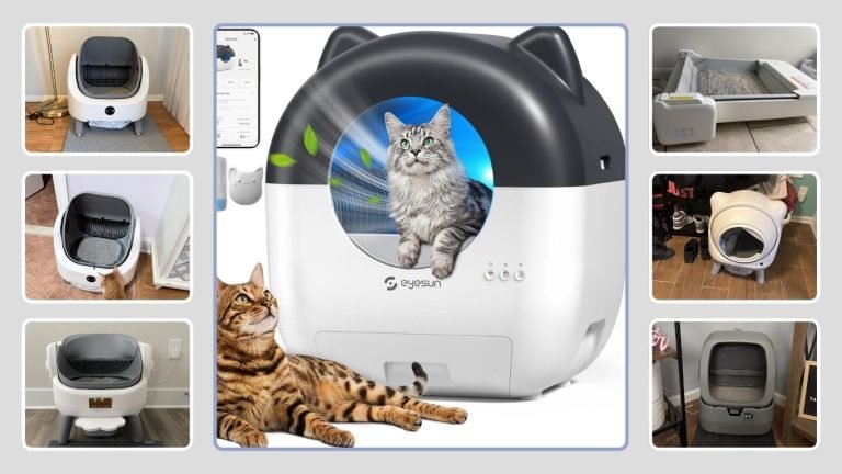 11 Best Self-Cleaning Litter Boxes Under $200