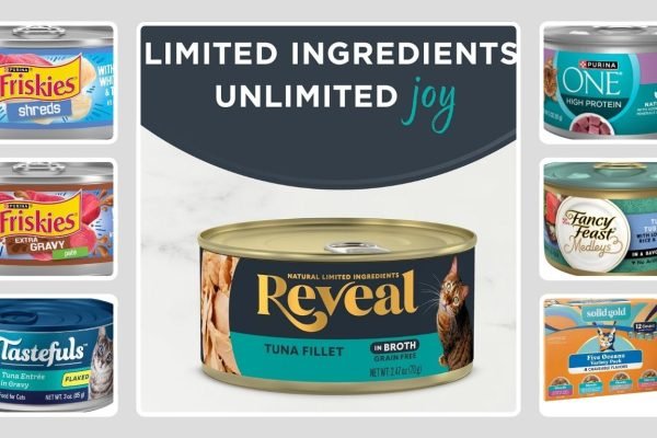 11 Best Tuna Cat Foods for Healthy and Happy Cats