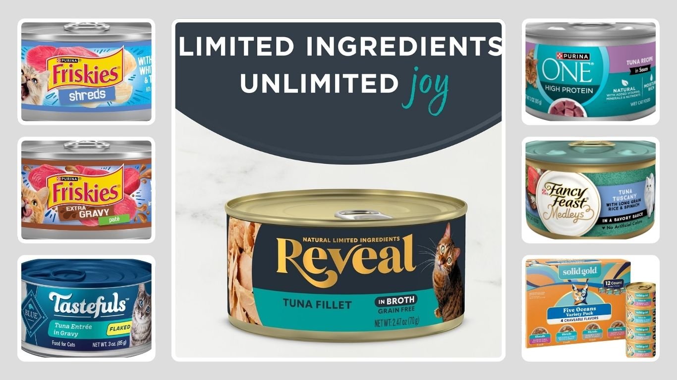 11 Best Tuna Cat Foods for Healthy and Happy Cats