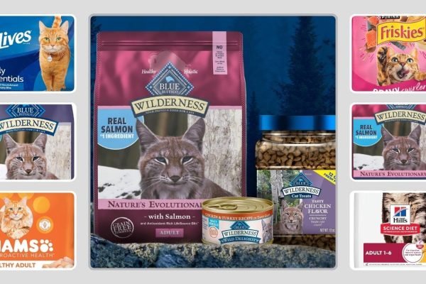 9 Best Cat Foods for Outdoor Cats for Energy and Health