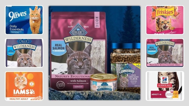 9 Best Cat Foods for Outdoor Cats for Energy and Health