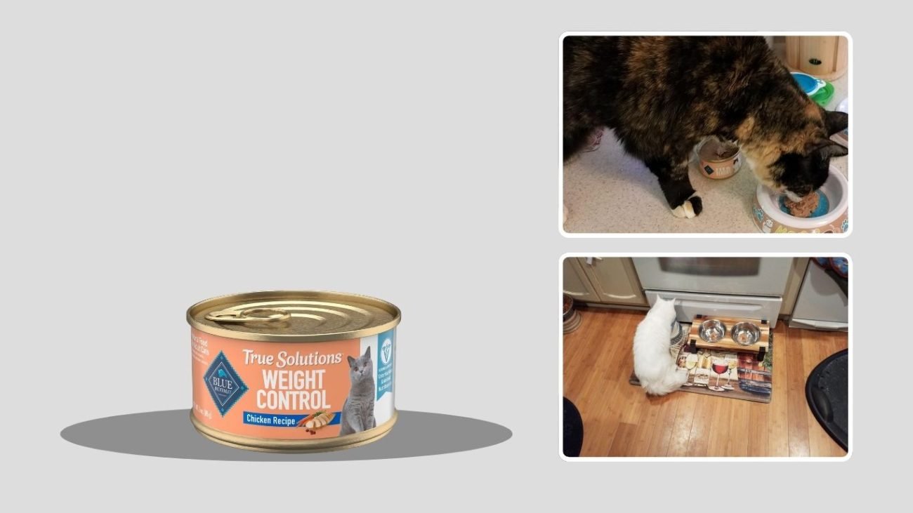 Blue Buffalo Natural Veterinary Diet Healthy Weight Wet Cat Food