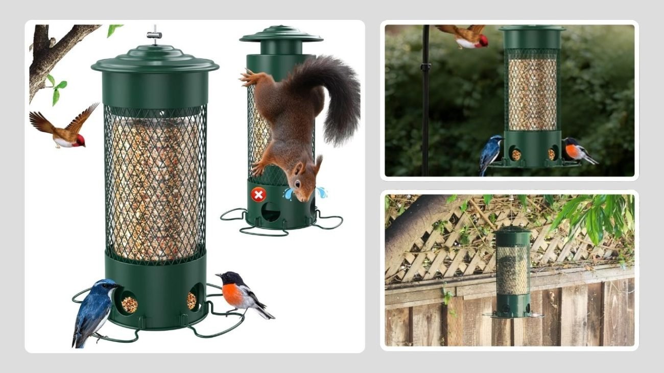 Olaiti Weight-Activated Squirrel-Proof Feeder