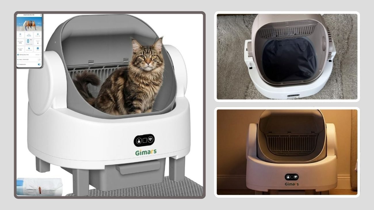 Gimars Automatic Self-Cleaning Cat Litter Box