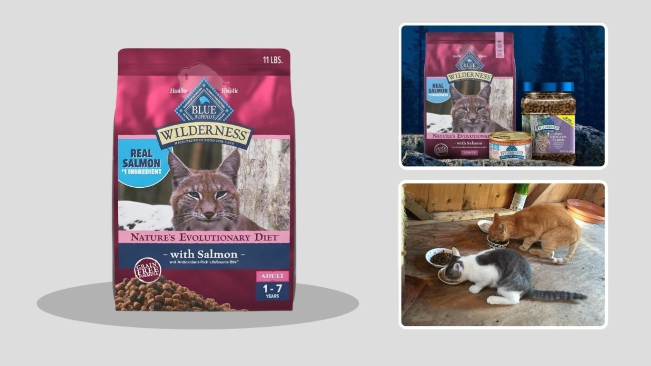 Blue Buffalo Wilderness High-Protein Grain-Free Salmon Dry Cat Food