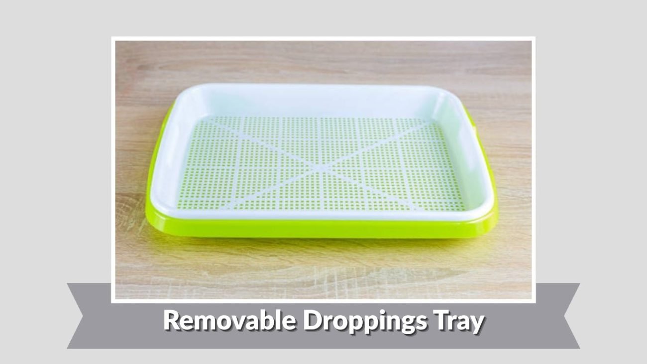 Removable Droppings Tray