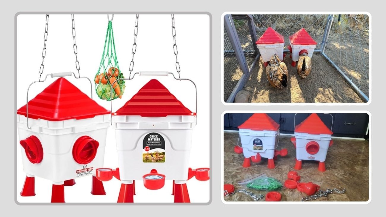 5 Gallon Chicken Waterer & Feeder Set