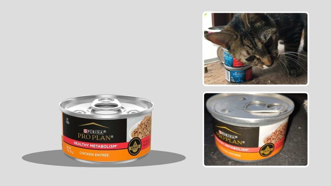 Purina Pro Plan Complete Essentials Healthy Metabolism Wet Cat Food