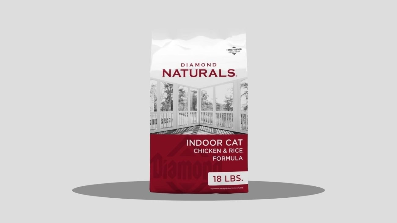 Purina ONE Sensitive Skin & Stomach Dry Cat Food