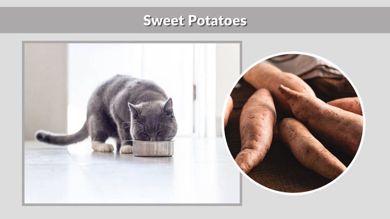 Sweet Potatoes