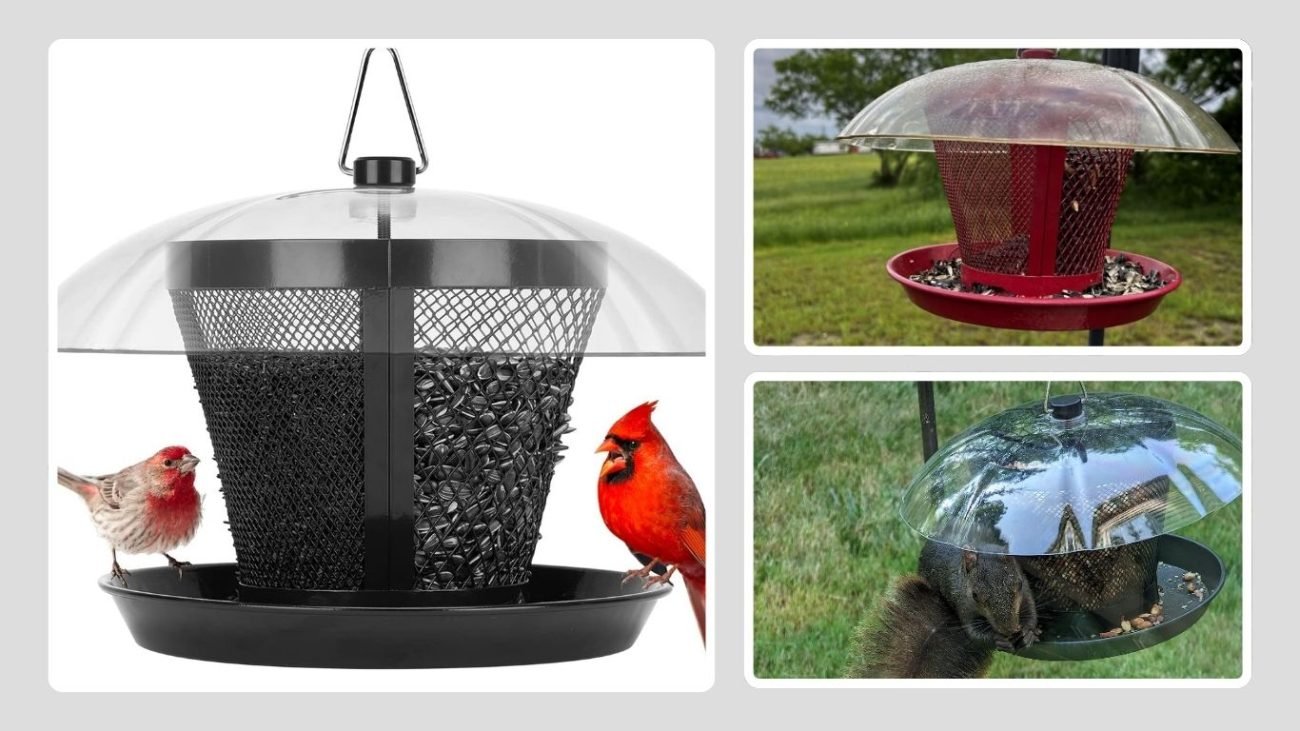 Kingsyard Classic Outdoor Bird Feeder