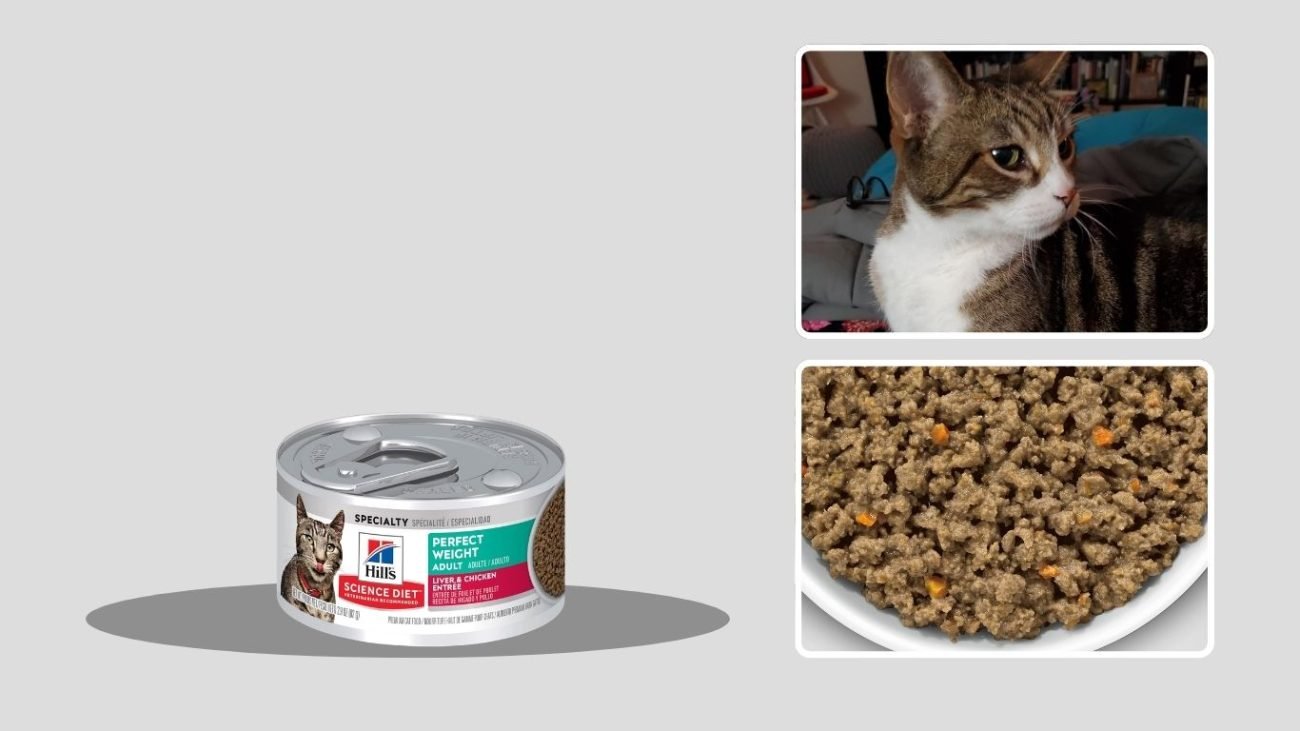 Hill’s Science Diet Perfect Weight Wet Cat Food