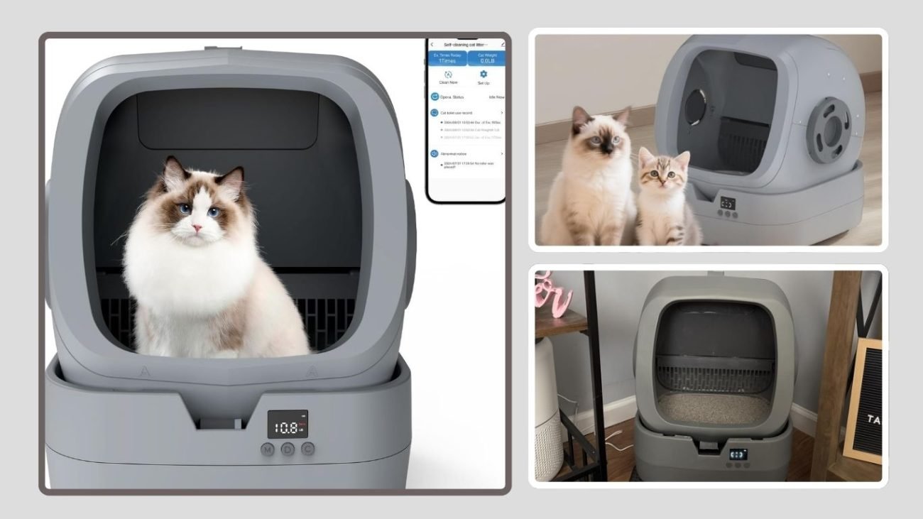 UPFAS Automatic Self-Cleaning Cat Litter Box