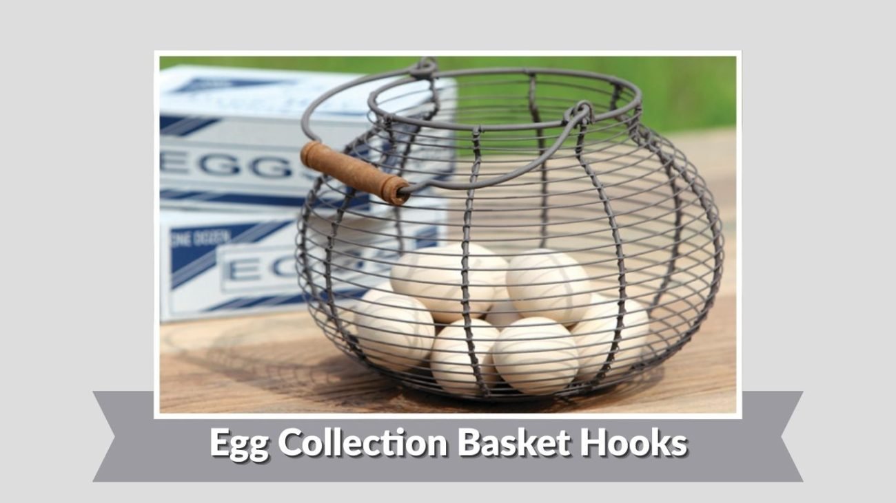 Egg Collection Basket Hooks