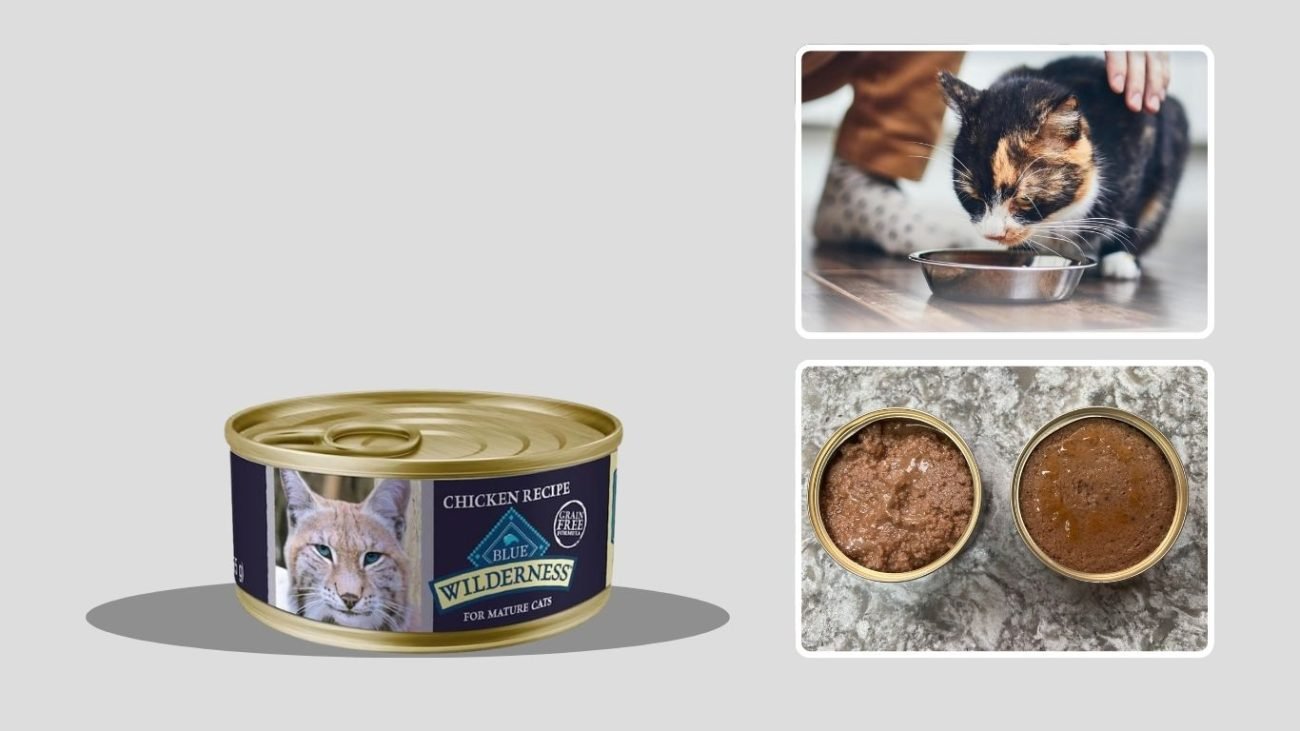 Blue Buffalo Wilderness Mature Chicken Recipe Wet Cat Food