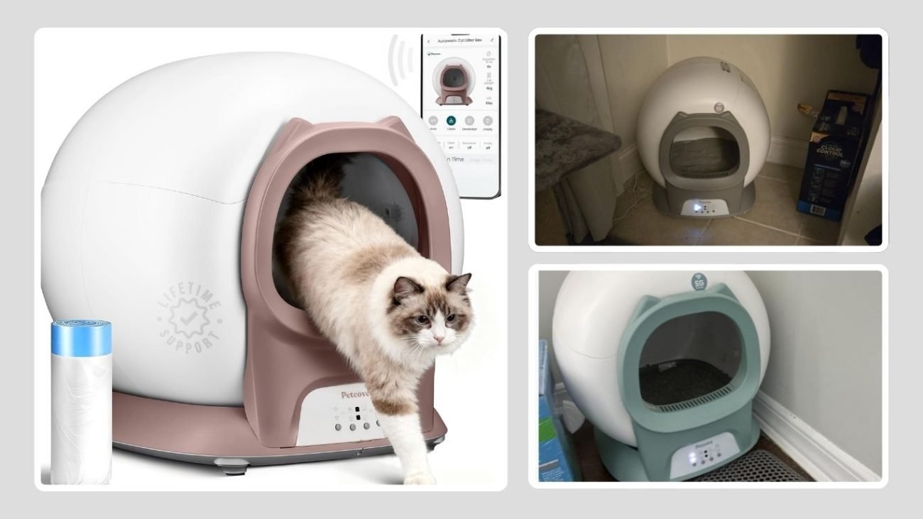 Fully Automatic Self-Cleaning Cat Litter Box with Multi-Sensor Control