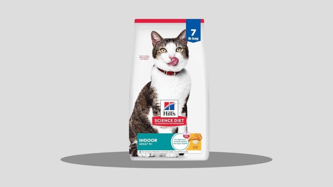 Purina ONE Indoor Advantage Dry Cat Food