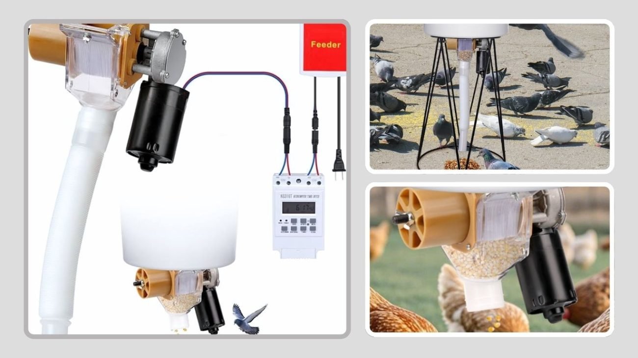 PKNYBZH Automatic Chicken Feeder