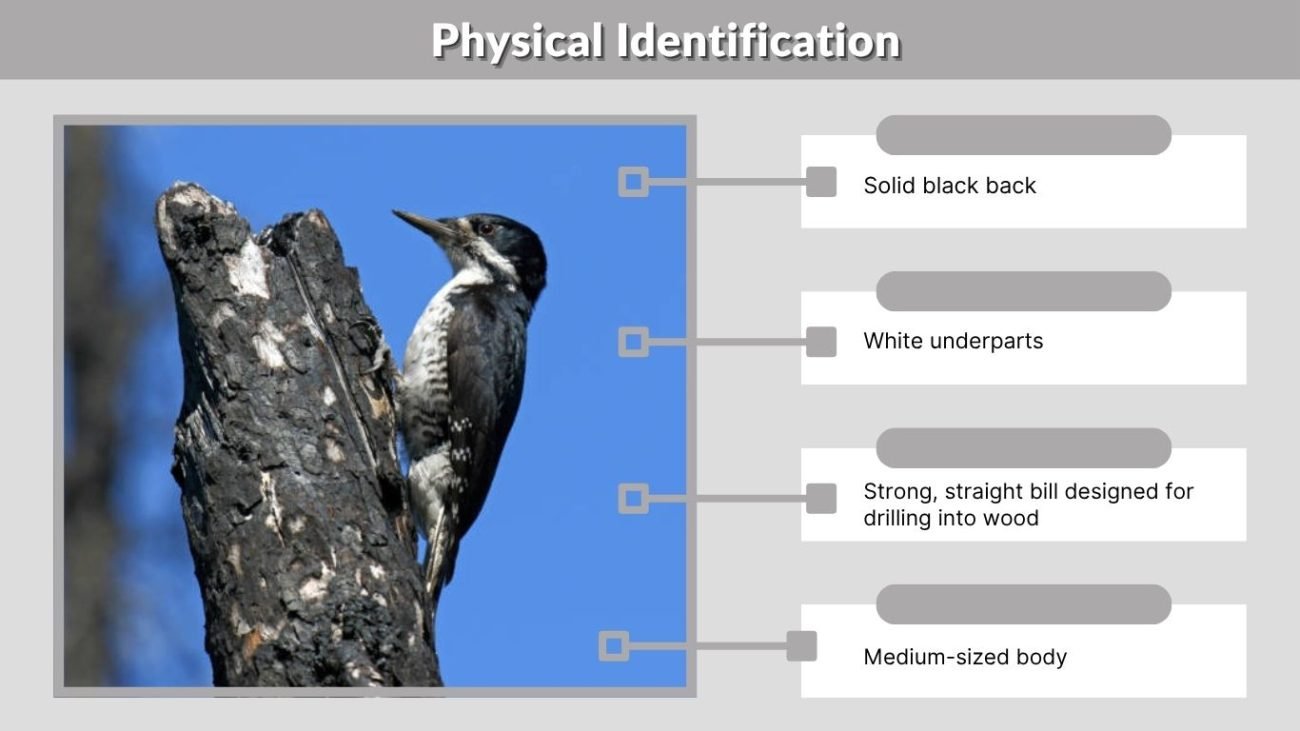Physical Identification