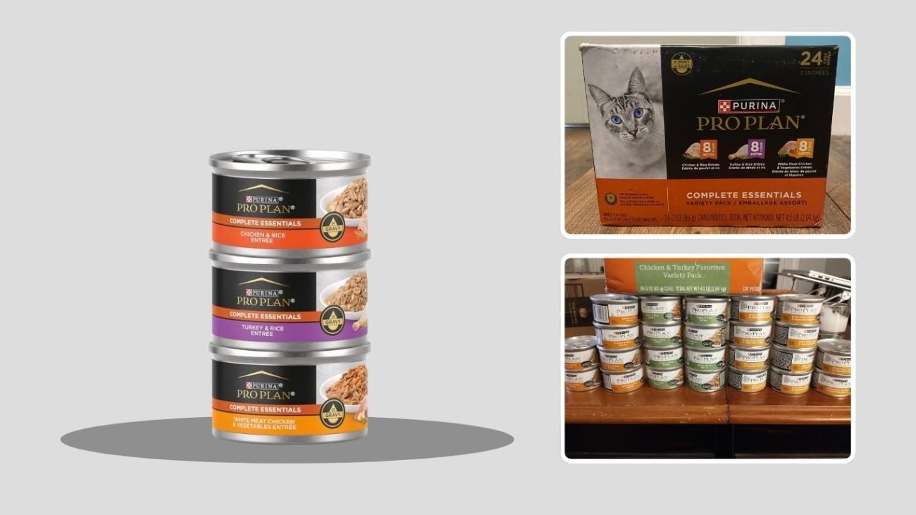 Purina Pro Plan Chicken Favorites Wet Cat Food