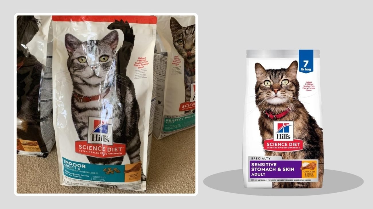 Hill’s Science Diet Sensitive Stomach & Skin Dry Cat Food