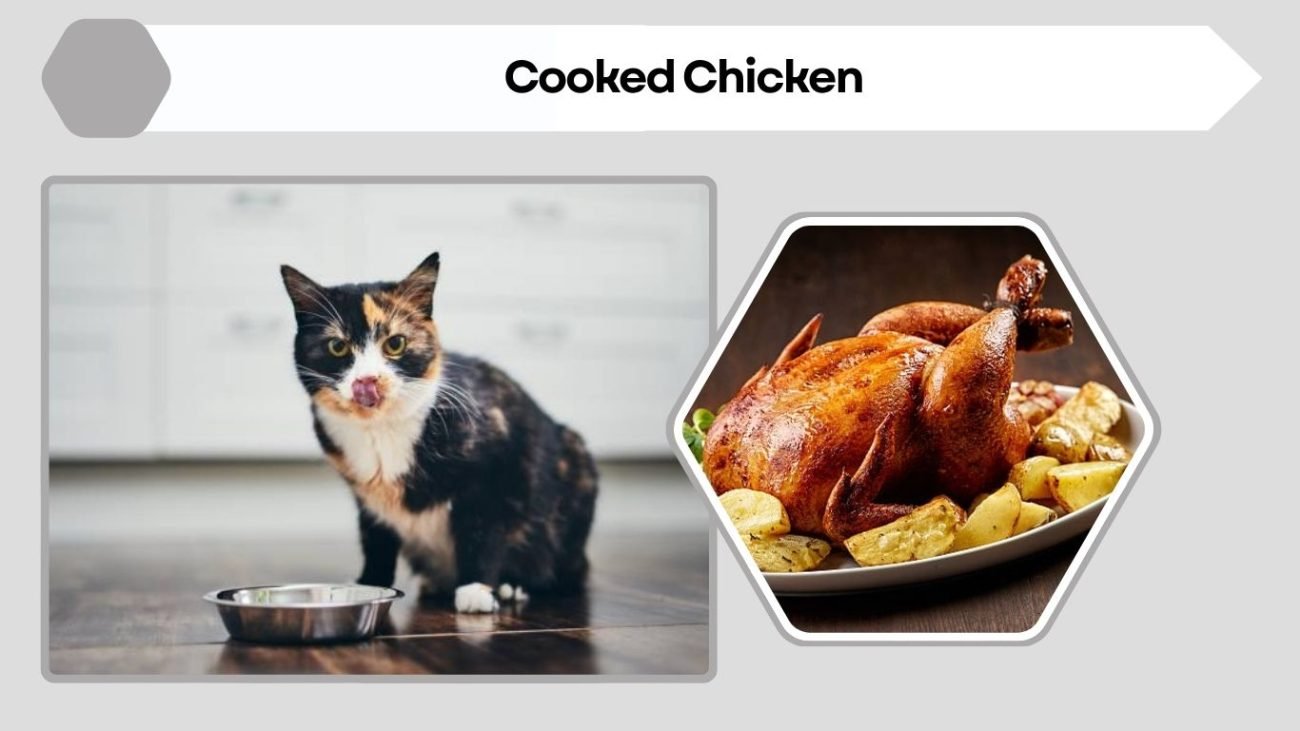 Cooked Chicken