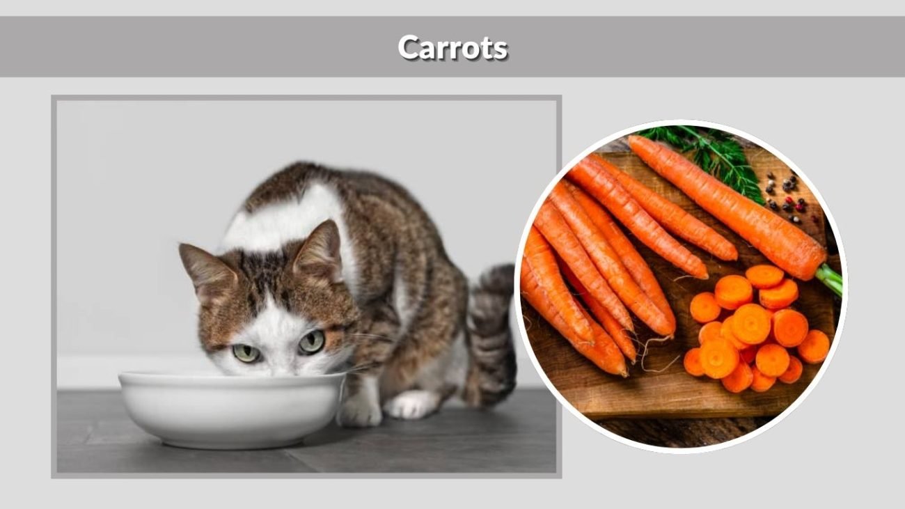 Carrots