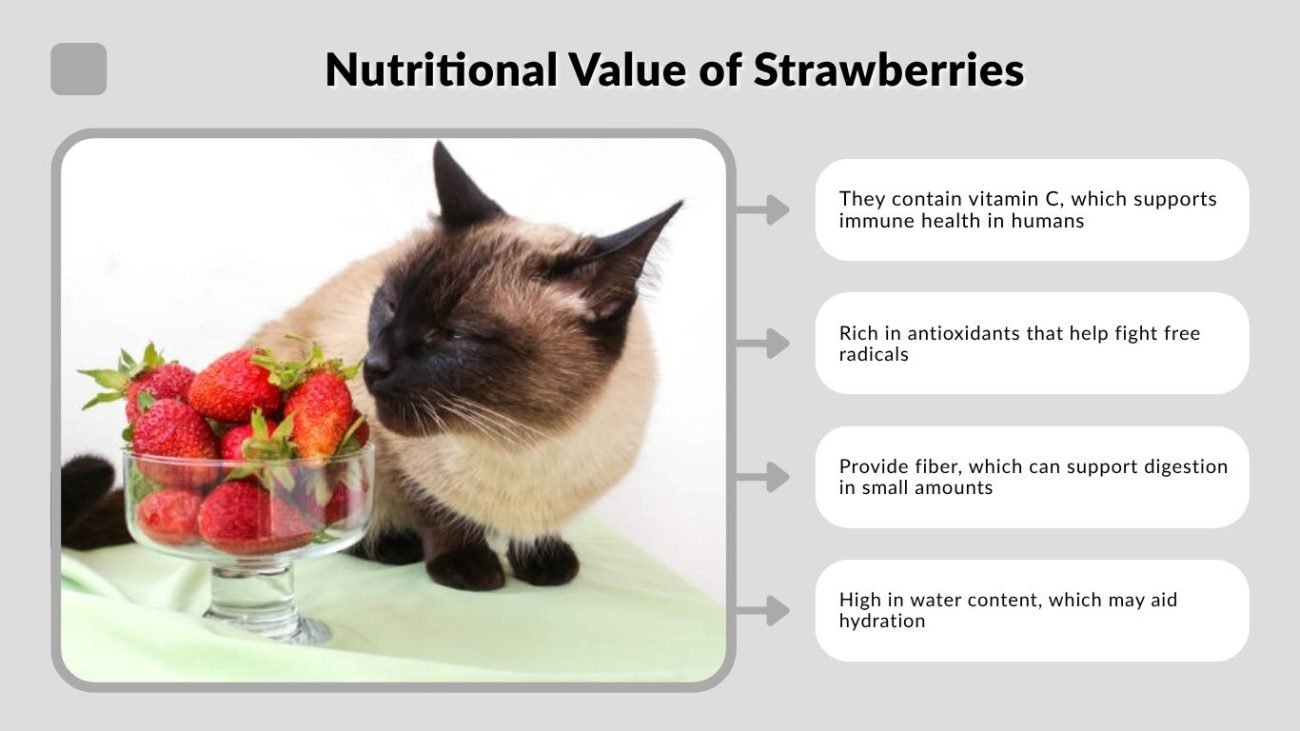 Nutritional Value of Strawberries