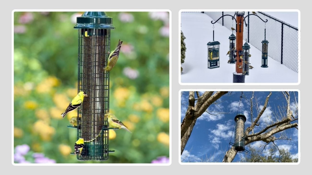Squirrel Buster® Nyjer® Squirrel-Proof Finch Feeder