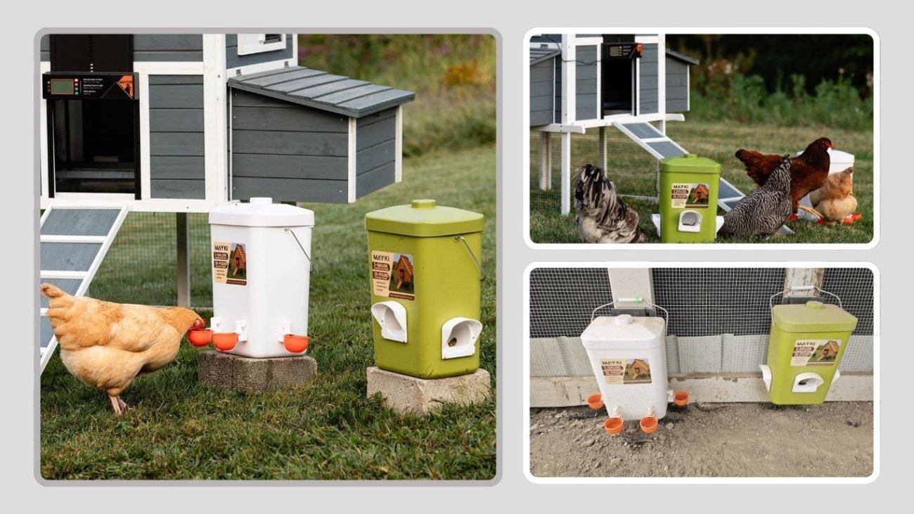 MAYKI Automatic Chicken Feeder & Waterer (BPA-Free)
