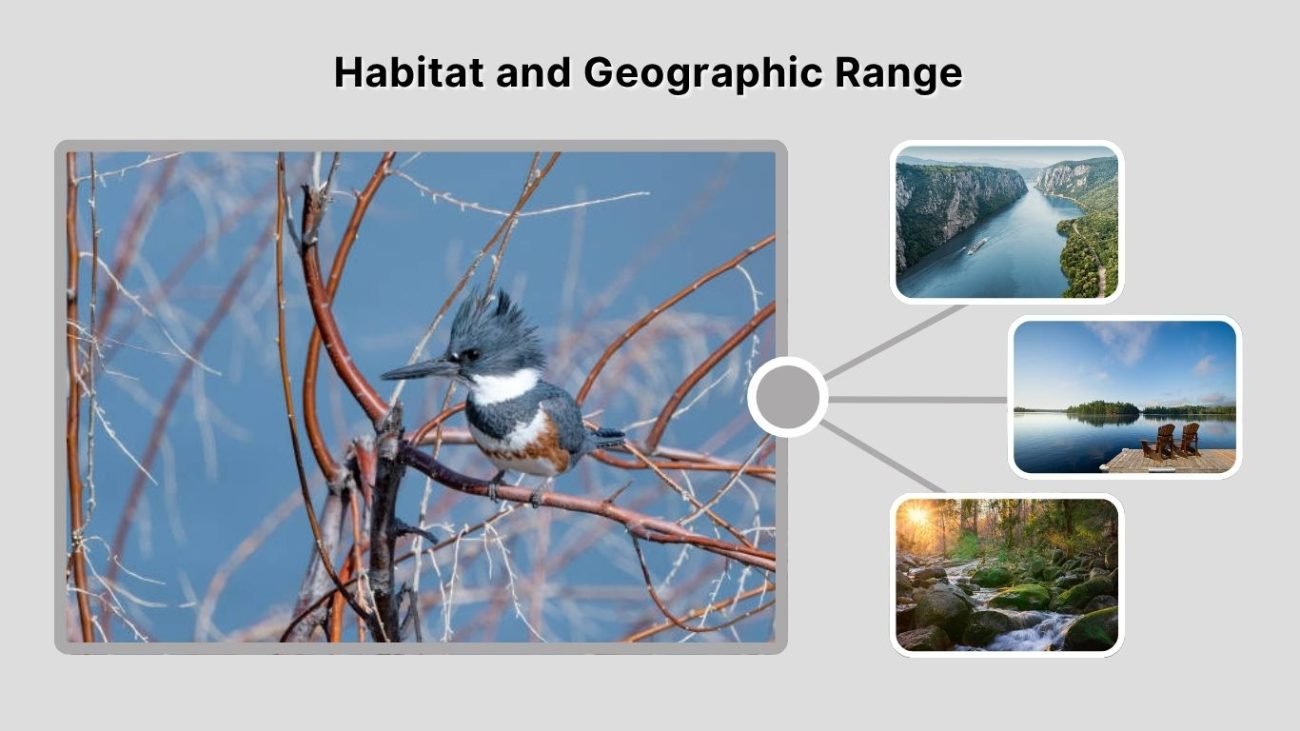 Habitat and Geographic Range