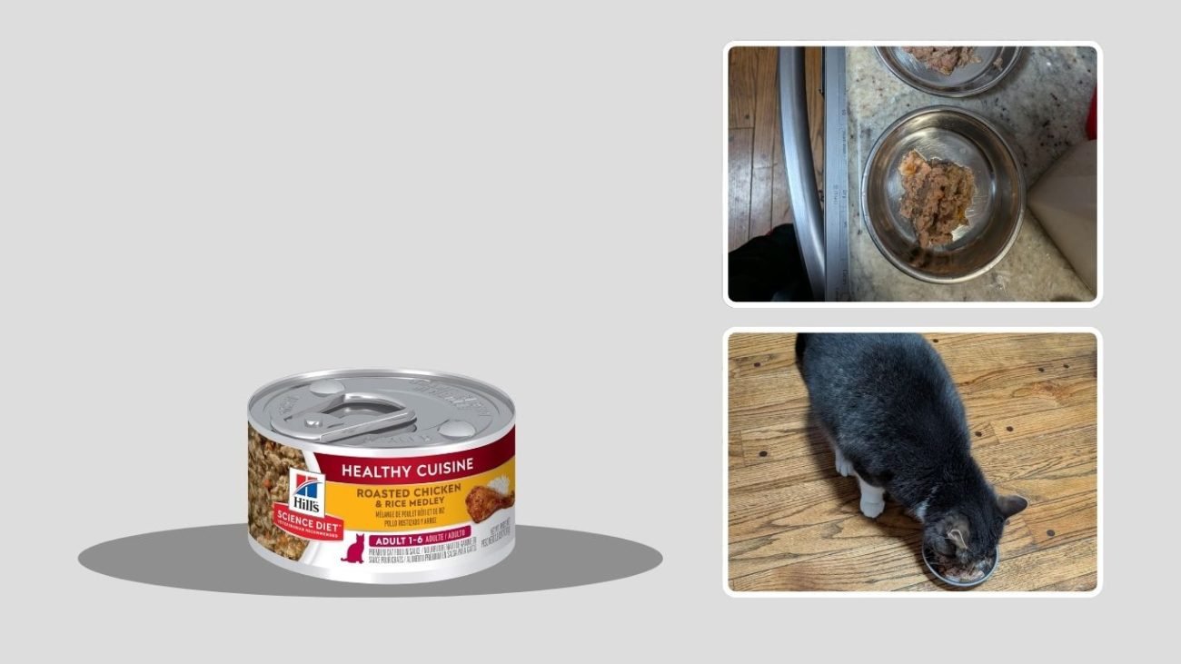 Hill’s Science Diet Healthy Cuisine Weight Management Wet Cat Food