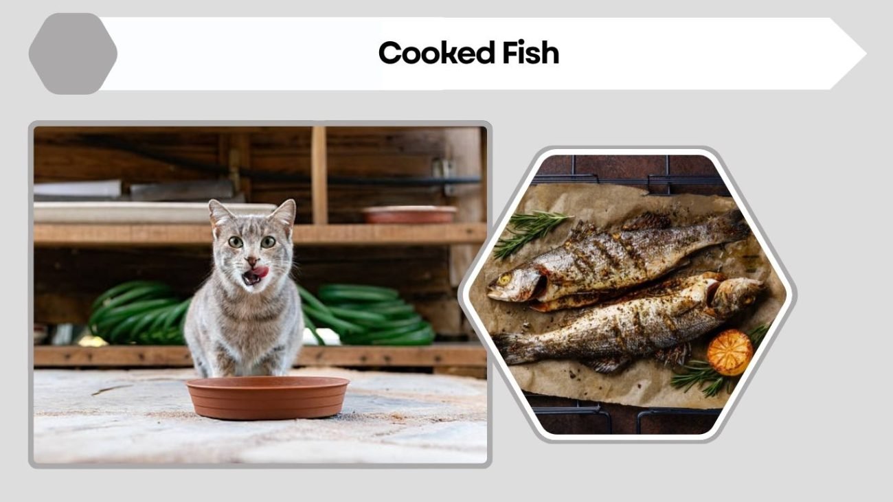 Cooked Fish