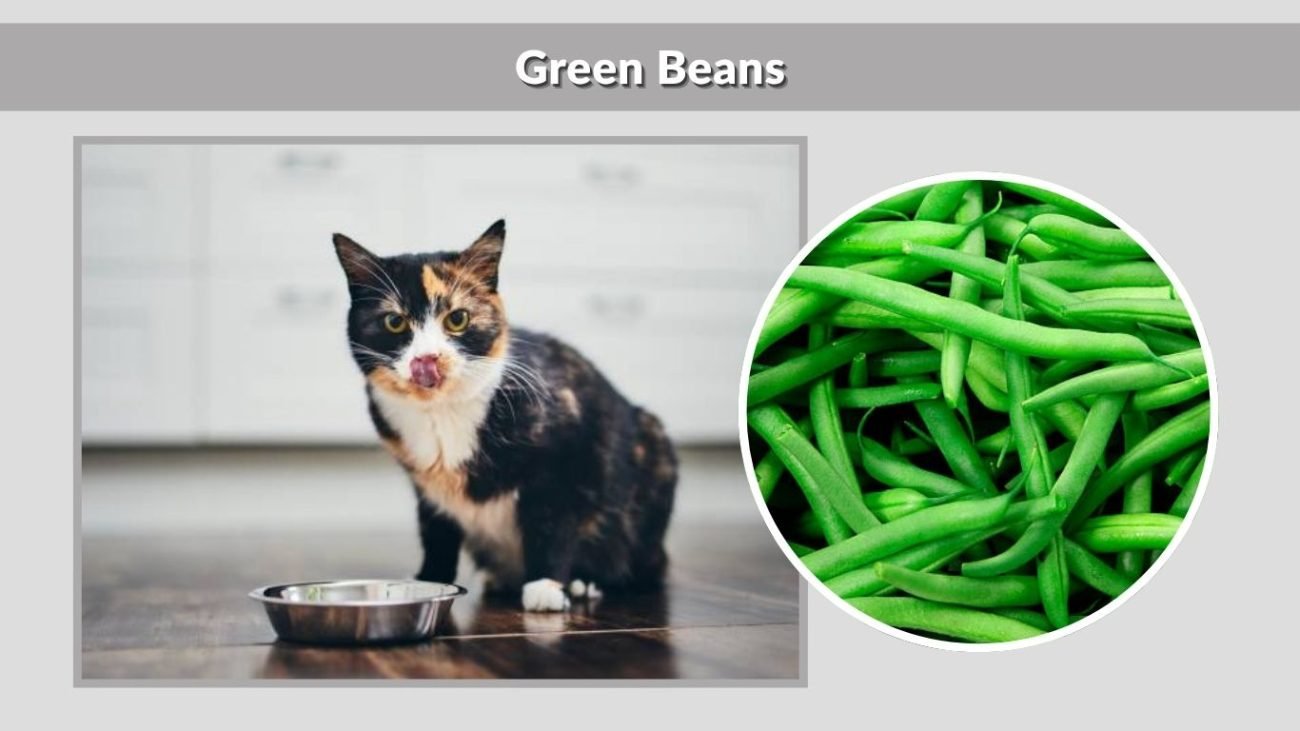 Green Beans