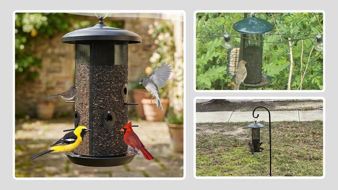 Gtongoko Squirrel-Proof Finch Feeder (2.5 LB Capacity)
